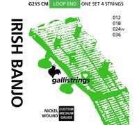 Galli G215 CM Irish Banjo 4-String Tenor Custom Medium