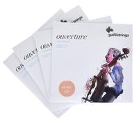 Galli Strings Galli Strings OV81-S 1/2 Ouverture DB Str.