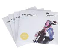 Galli Strings Galli Strings OV82-S 1/4 Ouverture DB Str.