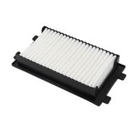 Galloparts 6EY-14451-00-00 RY13100 006-595 Filtre à air compatible avec Yamaha TR-1 RIVA EX VX FSH