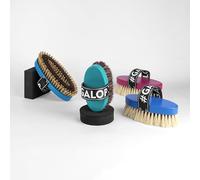 GALOP WEAR Colorful Collection - Lot de 4 brosses pour chevaux fabriquées à la main - Pour cavaliers professionnels et amateurs de chevaux - Nettoyage doux et intensif
