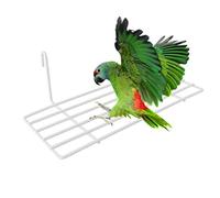 GALPADA 1 Pièce perchoir en Cage à Oiseaux décorations étagère Cage Perroquet Mur Perche Perruche Acier perchoir à Oiseaux Support pour perroquets étagère d'oiseaux pour la Cage Blanche