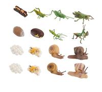 GALPADA 16 pièces Modèle Animal Cycle de Animale Réaliste Jeu Éducatif pour Garçon Fille Cognitif École Maternelle Couleur Aléatoire Couleur Aléatoire