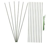 GALPADA 20 Pièces Lot de Tuteurs de Plantes Flexibles avec Attaches Supports Plastiques pour Plantes Pot Tuteurs pour Grimpantes et Vivaces Rack de Soutien pour Jardin Intérieur et
