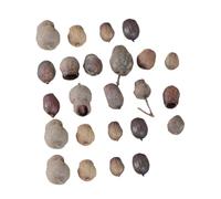 GALPADA 24 Pièces de Noix Séchées Naturelles pour Couronne de Noël Décoration de Sapin Soi-Même Fruits Secs Originaux pour Créations Festives