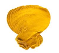 GALPADA 3 Ensembles Fish Shaped Foil Offering Paper for Cats and Dogs Traditional Pet Memorial Tribute Reflective Ritual Supplies