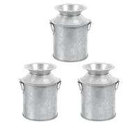 GALPADA 3 Pièces Ornement Accessoires Décoratif pour Mini Délicat Jardin et pour en Argenté Seau Miniature Fer Séchées Mini-Maison Fleurs