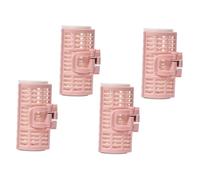 GALPADA 4 pièces Hair Beauty Roller Clip Set Practical Self-grip Curlers For Salon And Home Use Easy To Operate For Natural Stylish Hair And Fringe Styling Couleur Couleur Aléatoire