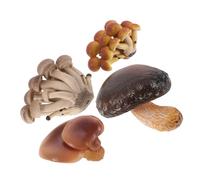 GALPADA 4 pièces Kit Éducatif Cycle de Vie Champignon Jouets Interactifs pour Garçon Fille Modèles Plastiques Réalistes pour Cognition et Apprentissage