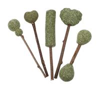 GALPADA 5 pièces Sucettes Catnip Naturelles Comestibles Friandises pour Sticks Dentaires Stimulants pour Digestion et Mastication