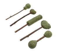 GALPADA 5pièces Sucettes Naturelles Au Catnip pour Bâtonnets Comestibles Et Friandises pour à Mâcher Dents