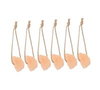 GALPADA 6 pièces Bloc de Sel Naturel Rose pour Chevaux Bovins Cerfs et Autres Animaux Source Soulagement de Ennui
