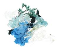 GALPADA Boîte 1 X Fleurs Séchées et Pressées pour DIY Résine Décoration Ongles Bougies Savons et Coques Matériaux Artisanaux Polyvalents pour Créations Personnalisées