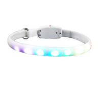 GALPADA Collier Lumineux pour Chien Rechargeable USB LED Blanc, Étanche en Abs et PVC, Sécurité Optimale pour Balades Nocturnes, Batterie 400mah Intégrée