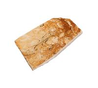 GALPADA de Poisson Paléontologique Décoratif pour Enseignement Fossile de Poisson à Nageoires de Loup Détail Minutieux et Matériel pour Éducation Scientifique