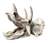 GALPADA Décoration Aquarium en Résine Crâne de Dinosaure Triceratops, Modèle de Squelette Factice, Cachette pour Crevettes et Poissons, Ornement Solide pour Paysage D’Aquarium Eau Douce,