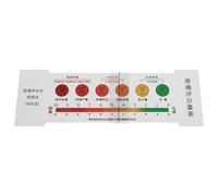 GALPADA Échelle de Douleur Numérique Nrs 10 CM Règle et Tableau Outil d'Évaluation Polyvalent pour Triage Infirmier et Suivi Postopératoire