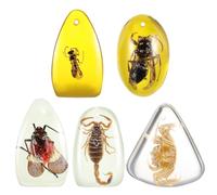 GALPADA Lot de 5 Pendentifs en Ambre Inclusion D’insectes, Breloques en Résine D’ambre Multicolores, Accessoires Bijoux pour Création Féminine, Ornements Uniques pour Style Aléatoire