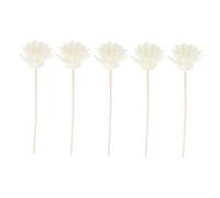 GALPADA Lot De 5 Set De Roseaux Diffuseurs D'arômes De Chrysanthème 20 Cm en Rotin Naturel, Bâtonnets Poreux pour Huiles Essentielles, Adaptés à La Maison, Salon Et Salle De Bain