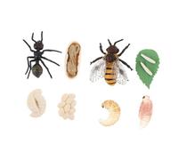 GALPADA Maquettes en Plastique du Cycle de Vie des Abeilles et Fourmis, Modèles Cognitifs Éducatifs Miniatures, Décoration Scientifique Solide pour Garçon et Filles, Ensemble 2 Pièces