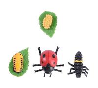 GALPADA Modèle de Coccinelle Éducatif de Cycle de Vie Insecte Réaliste pour Garçon Fille Décoration Maison et Fête
