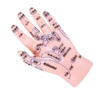GALPADA Modèle De Réflexologie Manuelle Pour Apprentissage De Acupuncture Et Du Massage Simulation Précise Des Zones Avec Représentation Des Points Acupuncture Pour Éducation