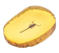 GALPADA Pendentif Spécimen D'ambre Artificiel Insecte, Forme Scorpion | Ambroid, Style Vif et Délicat, Pièce Élégante pour Famille et Amis, Collection et Exposition