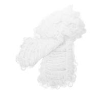 GALPADA Perruque De Juge Blanche Pour Déguisement Costume Avocat Et Juge Wig Légère Et Confortable Synthétique Cosplay Tribunal Et Soirée Thème Justice