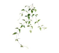 GALPADA Plante Artificielle Fleur de Vigoureux Rotin Vert Naturelles et Tiges Ajustables pour Décoration Intérieure Maison Salon Bureau