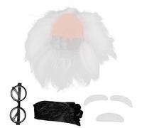 GALPADA Set Déguisement Perruque Blanche Coiffure Folle Moustache Sourcils Cosplay Scientifique Halloween Accessoires Expert Confortable Respirant