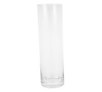 GALPADA Vase Verre Cylindrique Transparent Décoration pour Salon Fleurs Fraîches ou Séchées Vase Haut pour Intérieur et Extérieur