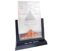 Galton Board, Outil Expérimental Efficace De Loi Statistique Dalton Board, Modèle De Démonstration De Probabilité De Bureau, Stimule La Curiosité, Pour Enseignants Et Étudiants