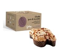 Galup Colomba de Pâques sans gluten et sans lactose, Colomba de Pâques avec Pépites de chocolat, Gâteau de Paques artisanale sans gluten, avec un glaçage aux noisettes - 400g
