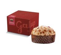 Galup Panettone artisanal traditionnel, Gâteau de Noël au levain naturel, aux fruits frais confits et raisins secs, panettone garni de glaçage aux noisettes, amandes et sucre cristallisé - 750 g