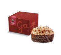 GALUP Panettone Italien, Recette Traditionnelle, Glaçage à la Noisette du Piémont IGP, 1 Kg 8640.0 cubic_centimeters