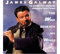 Galway, James - Wind Beneath My Wings by Galway, James (1991) Audio CD