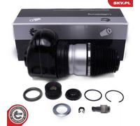 Gamba Élastique Avec Amortisseur Pneumatique Avant Pour ALPINA BMW 7 B7