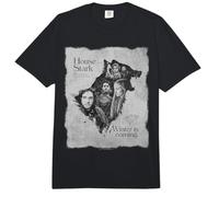 Game of Thrones House Stark Winter is Coming Comfort Colors Adult Heavyweight T-Shirt