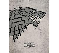 Game of Thrones (Stark 60 x 80 cm Toile Imprimée