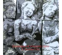 Gamelan of Central Java Vol. X - Sindhen Trio