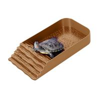 Gamelle à eau pour - Bassine antidérapante pour reptiles - Gamelle d'eau et de nourriture pour avec rampe d'alimentation carrée pour amphibiens
