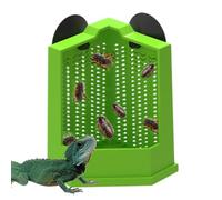 Gamelle à ventouse pour reptile, ermite, crabe, mangeoire à gecko, accessoires pour éleveurs, terrarium, caméléon, serpent, oiseau, grenouille, lézard