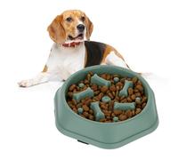 Gamelle Anti glouton Lot 10 chien manger lentement croquette aliment digestion