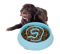 Gamelle Anti glouton Lot 2 chien manger lentement croquette aliment digestion