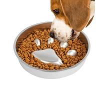 Gamelle Anti-glouton pour Chien Gamelle en Acier Inoxydable à Alimentation | Pour Gestion du Poids et Comportement Maison Cuisine Salle à Manger Salon Appartement