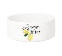 Gamelle Chien - Chat Céramique Squeeze The Day Jeux de Mots Nourriture Citron - 13cm