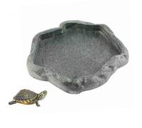 Gamelle Double pour Tortue Terrestre, Bol d'eau et Nourriture pour Reptiles, Distributeur Automatique en Vert Foncé, Taille S