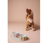 Gamelle en céramique pour chien camel TU