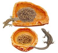 Gamelle en résine pour Reptiles - 12 cm - Lot de 2 Plateaux à Eau, Accessoire pour réservoir, Accessoire d'habitat pour lézard, Gecko, Tortue, Escargot, ermite, Crabe