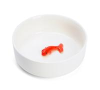 Gamelle leurre poisson